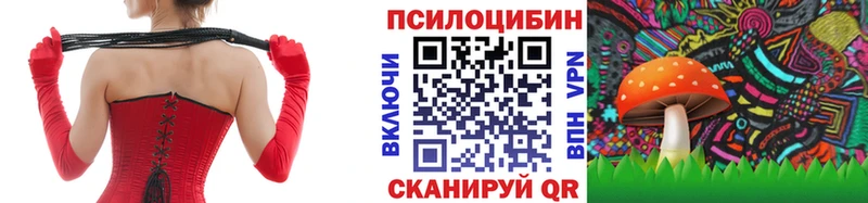 Купить где Рассказово Галлюциногенные грибы Psilocybine cubensis